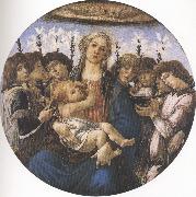Sandro Botticelli Madonna and Child with eight Angels or Raczinskj Tondo (mk36) China oil painting reproduction